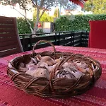 Andreja *